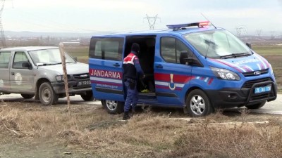 Avukatın Duyarlılığı Kulakları Kesilen 11 Köpeği Kurtardı