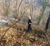 İTFAİYE ARACI - Fatsa'da Orman Yangını