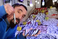 Karadeniz Efsanesi Hamsi Geri Döndü