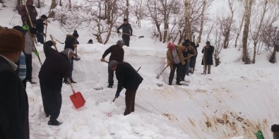 Karın Ağırlığına Dayanamayan Ahır Çöktü Açıklaması 6 Hayvan Telef Oldu