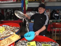 HAMSİ BALIĞI - (Özel) Lodos Balık Fiyatlarını Düşürdü