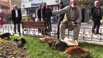 Siirtli Yaşlı Adamın Kedi Sevgisi İlgi Çekiyor