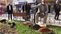 MARADONA - Siirtli Yaşlı Adamın Kedi Sevgisi İlgi Çekiyor