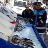 KAYIT DIŞI - Van'da Su Ürünleri Denetimi