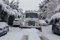 ÇANKAYA BELEDIYESI - Çankaya Karla Mücadelede Sınıfı Geçti