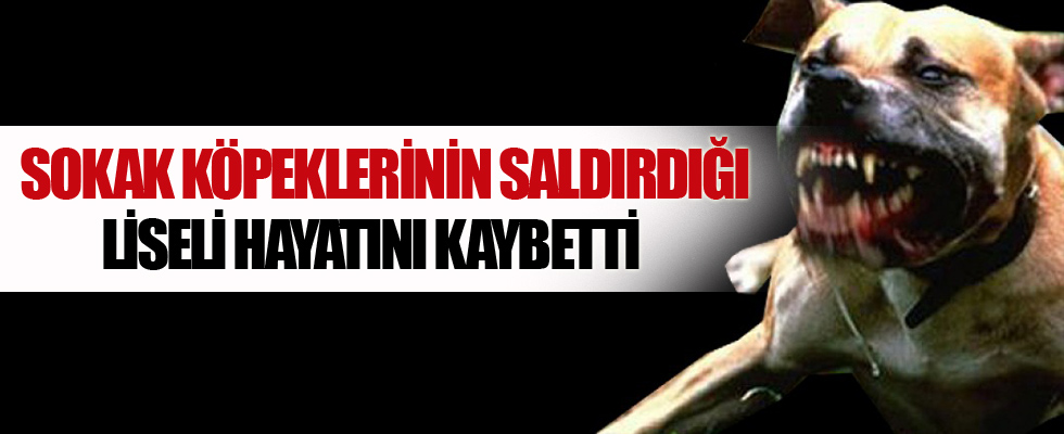 Sokak köpeklerinin saldırdığı 2 liseliden 1'i öldü