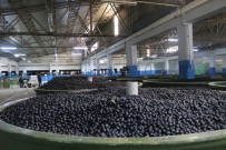 Marmarabirlik'te Ürün Ödemesi