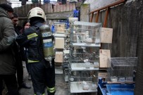 KAZIM KARABEKİR - 80 Papağan Yanmaktan Son Anda Kurtarıldı