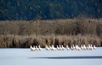BUZ TUTAN GÖL - Bin 100 Rakımlı Göl Buz Tuttu, Kartpostallık Görüntüler Oluştu