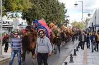 NEYZEN TEVFIK - Bodrum Deve Güreşi Festivali Kortej Yürüyüşü İle Başladı