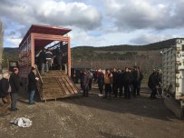 Eğirdir'de 11 Genç Çiftçiye Hibe 55 Büyükbaş Hayvan Dağıtıldı