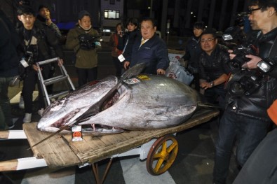 Tokyo'da Balık Mezatında Rekor Fiyat, 16 Milyon Liraya Satıldı