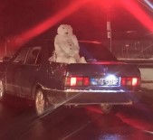 KARDAN ADAM - Kardan Adamla Seyahat