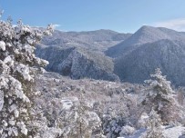 GÖMBE - Kaş'ta Kar Sürprizi