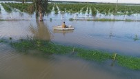 CEYHAN NEHRİ - Çiftçiler Göle Dönen Tarlalarında Kayıkla Zarar Tespiti Yaptı