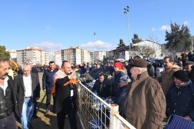 Çiğli'de Deve Güreşleri Festivali'ne Yoğun İlgi