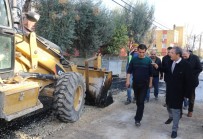 DIKILITAŞ - Pamuk, Çalışmaları Denetledi