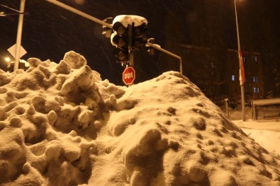 Bitlis'te Hayat Durdu