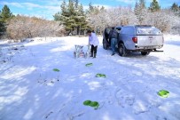 YOĞUN BAKIM ÜNİTESİ - Can Dostlarımız İçin Seferberlik