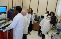 TÜRKIYE BILIMLER AKADEMISI - Elektrikli Araçlarda Kullanılabilecek Yakıt Pilleri İçin Nano Malzeme Geliştirdi