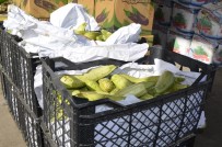 KARNABAHAR - Irak'ta Yasaklanan Ürün Sayısı 10'A Ulaştı