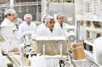 ANKARA BÜYÜKŞEHİR BELEDİYESİ - Tuzcuoğlu, Halk Ekmek Fabrikası'nda İncelemelerde Bulundu