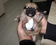 İnsan olan bunu yapmaz!