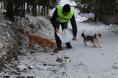 (Özel) Karda Sokak Hayvanlarını Elleriyle Beslediler
