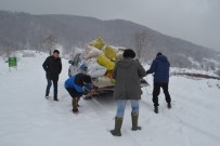 (Özel) Karda Yaban Hayvanlarını Unutmadılar