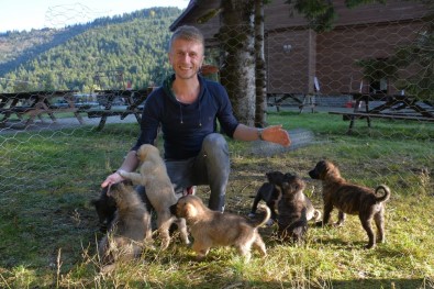 Annesiz 12 Yavruyu Besliyor