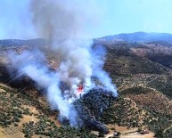 ORMAN YANGıNLARı - Aydın, Orman Yangınlarından En Fazla Zarar Gören İkinci Bölgede Yer Alıyor