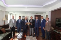 ŞEHİT AİLELERİ DERNEĞİ - Başkan Er'den Şırnak Valisi Pehlivan'a Ziyaret