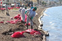 Deniz Kirliliğine Sebep Olan Firmaya Ceza