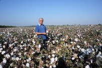 ÇUKOBIRLIK - Doğan Açıklaması 'Pamuk Üreticisi Zor Durumda'