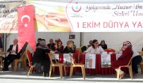 DÜNYA YAŞLILAR GÜNÜ - Erzincan'da Dünya Yaşlılar Günü Stant Etkinliği
