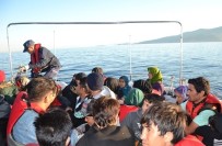 ALTıNKUM - İzmir'de 248 Düzensiz Göçmen Yakalandı