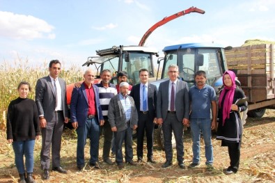 Köse'de İlk Kez Ekilen Silajlık Mısırda Hasat Yapıldı