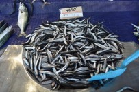 HAMSİ FİYATLARI - Tekirdağ'da Hamsinin Kilosu 25 TL