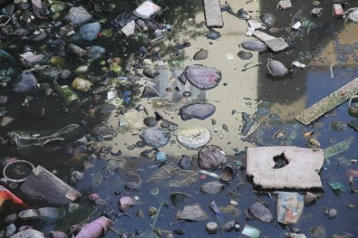 Zergan Deresine Atılan Çöpler, Hayvanların Hayatını Tehlikeye Atıyor