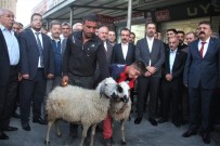 FIRAT KALKANI - Harekata Katılan Mehmetçik İçin Kurban Kesildi, Dua Edildi