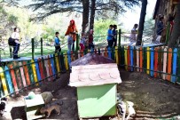 ISPARTA BELEDİYESİ - Hayvan Dostu Miniklerden Anlamlı Ziyaret