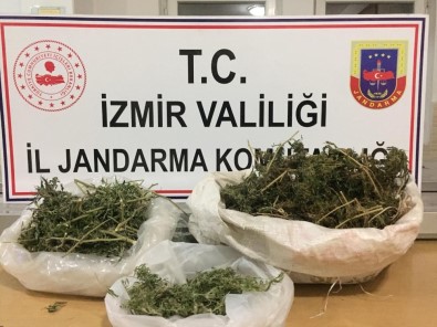İzmir'de Jandarmadan Sahte İçki Ve Uyuşturucu Operasyonu
