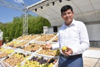 TİCARET ODASI - Nazilli'den Barış Pınarı Kahramanlarına İncir Gönderilecek