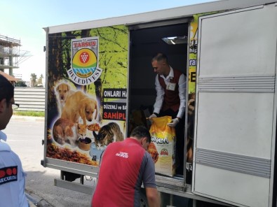 Tarsus'ta Sokak Hayvanları İçin 500 Kilo Mama Toplandı