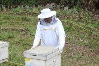 ORMAN BAKANI - Bakan Pakdemirli Defne Ve Kestane Hasadı İle Bal Sağımı Yaptı