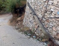 Budama Sırasında Devrilen Ağaç Köyün Başına İş Açtı