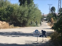 EDREMIT BELEDIYESI - Edremit'te Kuru Ve Tehlike Arz Eden Ağaçlar Budanıyor