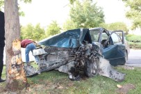 FETHİ SEKİN - Elazığ'da Otomobil Ağaca Çarptı Açıklaması 1 Yaralı