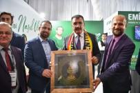 YENİ MALATYASPOR - İstanbul'da Malatya'nın Tanıtımı Sürüyor