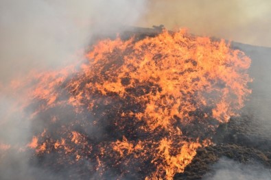 İstanbul'da Orman Yangınlarına İlişkin 3 PKK'lı Gözaltına Alındı